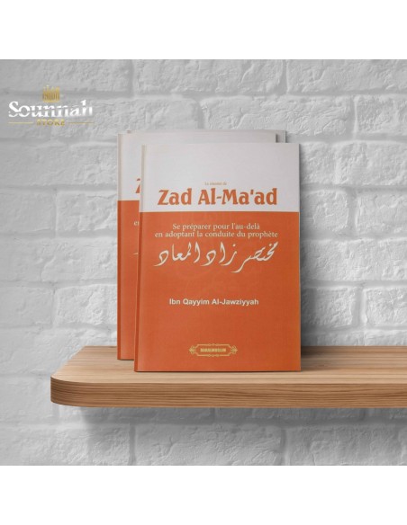 Zad al ma'ad