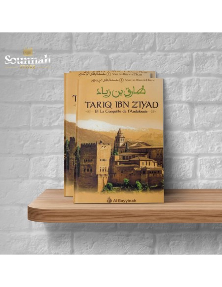 Tariq ibn ziyad et la conquête de l'andalousie