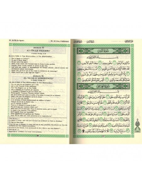 Paarse Arabische / Franse Koran