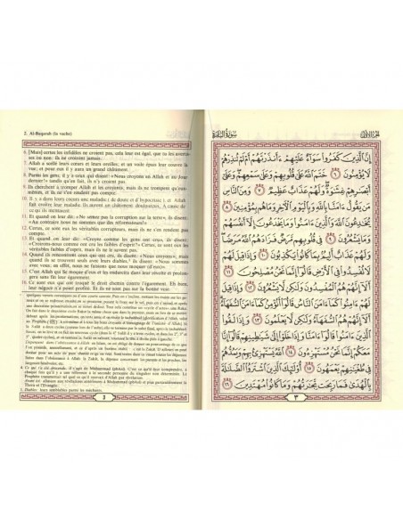 Der edle Quran und die Übersetzung seiner Bedeutungen in die deutsche Sprache